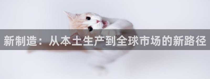 彩神官方网站登录是多少：新制造：从本土生产到全球市场的新路径
