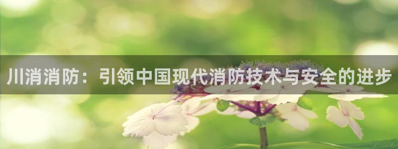 彩神购彩购彩大厅入口v
