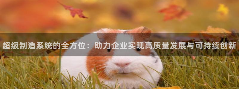 彩神vlll游戏特色：超级制造系统的全方位：助力企业实现高质量发展与可持续创新