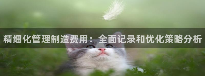 彩神V集团公司：精细化管理制造费用：全面记录和优化策略分析