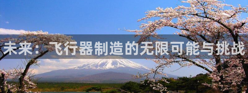 彩神v8客户端：未来：飞行器制造的无限可能与挑战