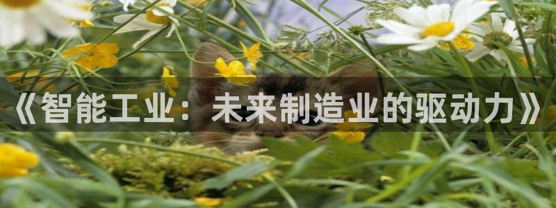彩神vll首页：《智能工业：未来制造业的驱动力》