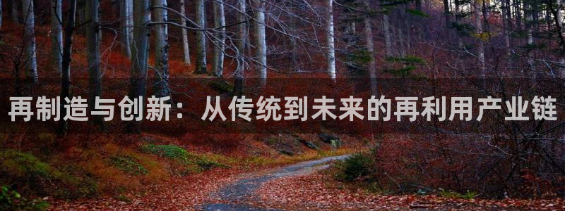 彩神vl购彩大厅：再制造与创新：从传统到未来的再利用产业链
