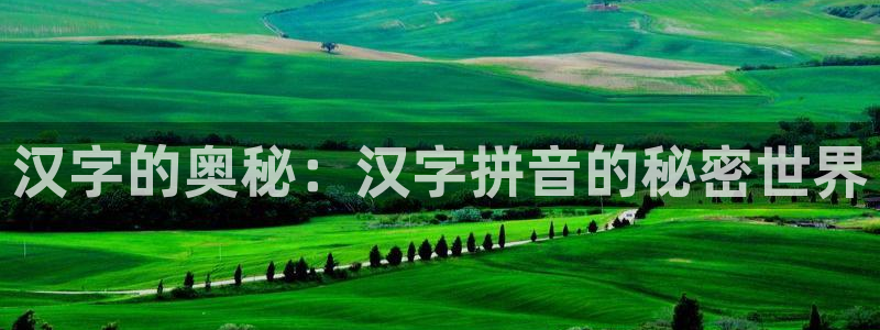 彩神是正规平台吗是真的吗：汉字的奥秘：汉字拼音的秘密世界