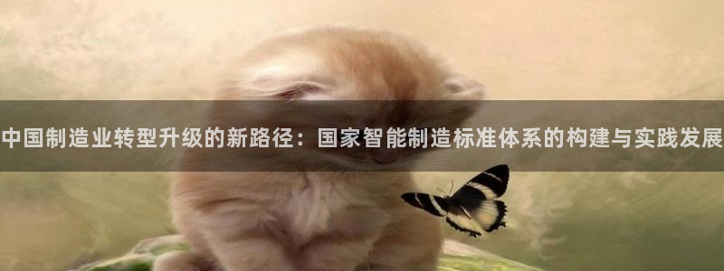 彩神数码科技有限公司