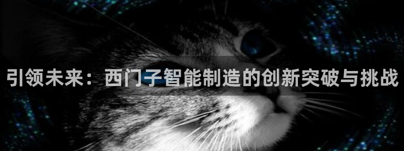 彩神平台是真的吗：引领未来：西门子智能制造的创新突破与挑战