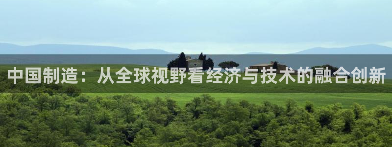 彩神vlll(中国)百度百科：中国制造：从全球视野看经济与技
