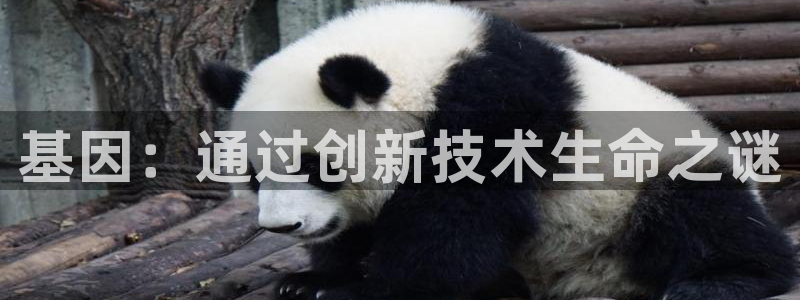 下载彩神v8