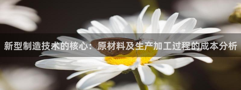 彩神V购彩大厅：新型制造技术的核心：原材料及生产加工过程的成本分析