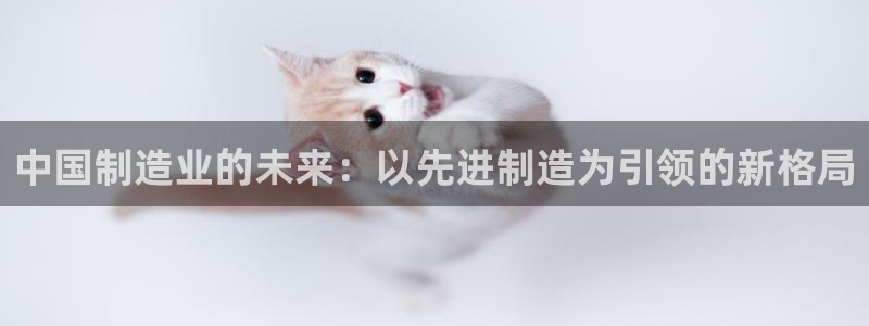 彩神平台可以破解吗：中国制造业的未来：以先进制造为引领的新格局