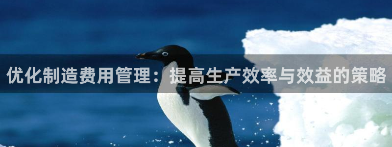 彩神正规吗：优化制造费用管理：提高生产效率与效益的策略