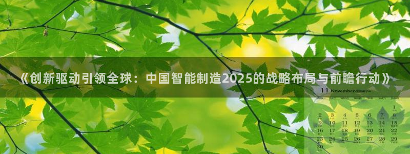 下载彩神通关注金码：《创新驱动引领全球：中国智能制造2025的战略布局与前瞻行动》