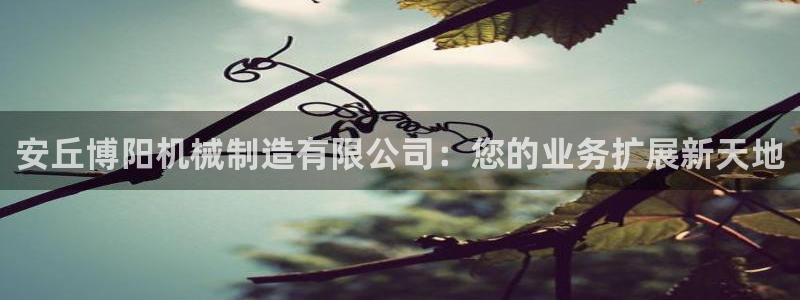 彩神旗下有哪些平台可以看：安丘博阳机械制造有限公司：您的业务扩展新天地