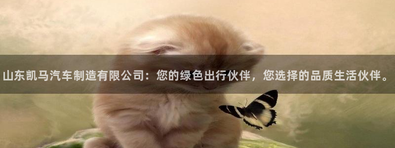 彩神争霸官方登录：山东凯马汽车制造有限公司：您的绿色出行伙伴，您选择的品质生活伙伴。