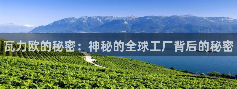 彩神v8几个版本：瓦力欧的秘密：神秘的全球工厂背后的秘密