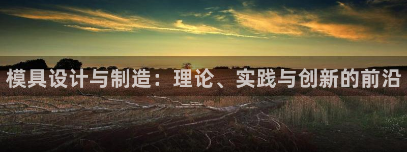 彩神ll能赚钱吗：模具设计与制造：理论、实践与创新的前沿