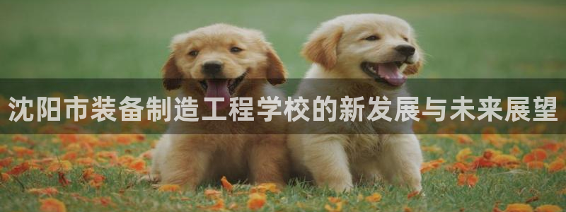 彩神合法吗.是国家认可的吗：沈阳市装备制造工程学校的新发展与未来展望