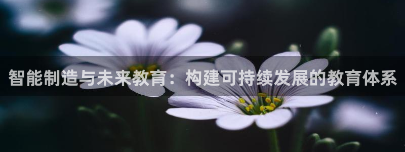 彩神趣购彩用户注册：智能制造与未来教育：构建可持续发展的教育体系