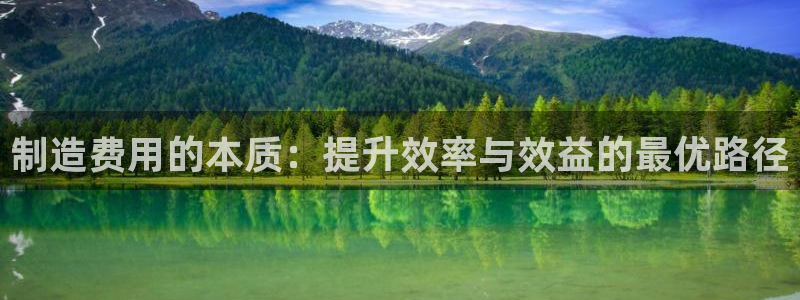彩神v集团有限公司：制造费用的本质：提升效率与效益的最优路径