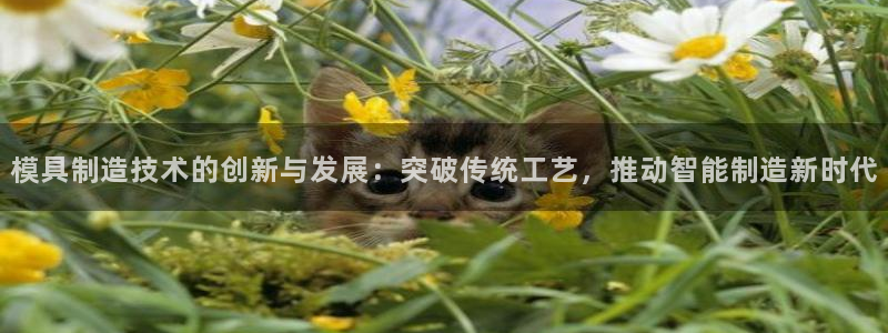 彩神ii官方网：模具制造技术的创新与发展：突破传统工艺，推动智能制造新时代