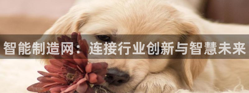 彩神vll官网在线登录：智能制造网：连接行业创新与智慧未来