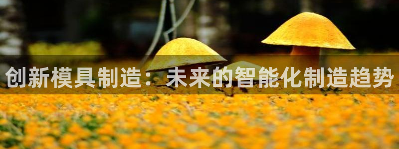 彩神大发三期计划网站：创新模具制造：未来的智能化制造趋势