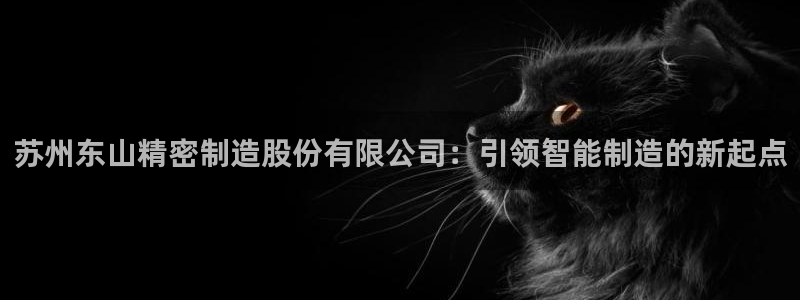 彩神购彩-购彩大厅入口下载：苏州东山精密制造股份有限公司：引领智能制造的新起点