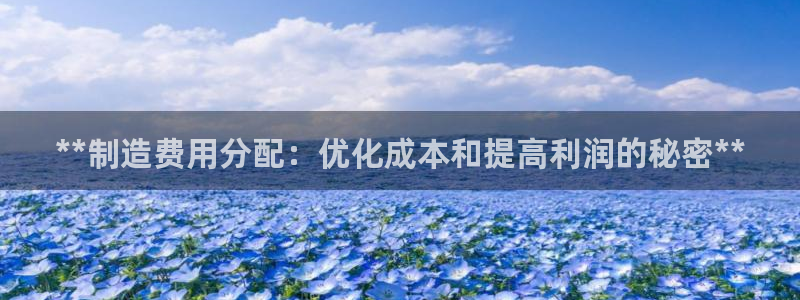 彩神平台之间是什么关系：**制造费用分配：优化成本和提高利润的秘密**