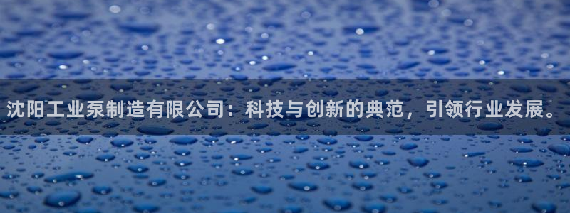 大发彩神最高邀请码：沈阳工业泵制造有限公司：科技与创新的典范，引领行业发展。