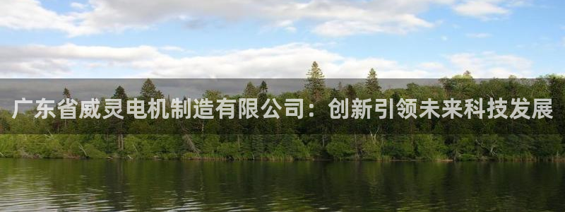 彩神vll购彩大厅大众：广东省威灵电机制造有限公司：创新引领