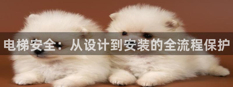 彩神VII官方版：电梯安全：从设计到安装的全流程保护