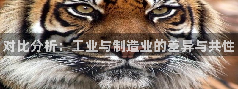 彩神争霸官网登录平台：对比分析：工业与制造业的差异与共性