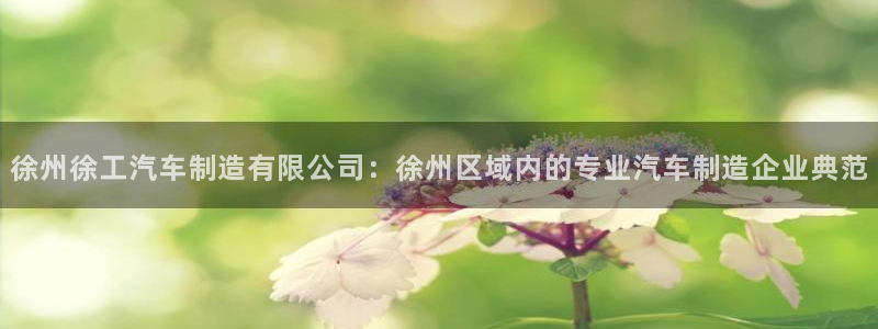 新版彩神v8登录不了：徐州徐工汽车制造有限公司：徐州区域内的专业汽车制造企业典范