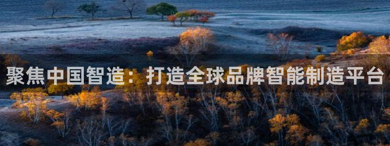 彩神v8手机客户端在哪：聚焦中国智造：打造全球品牌智能制造平台