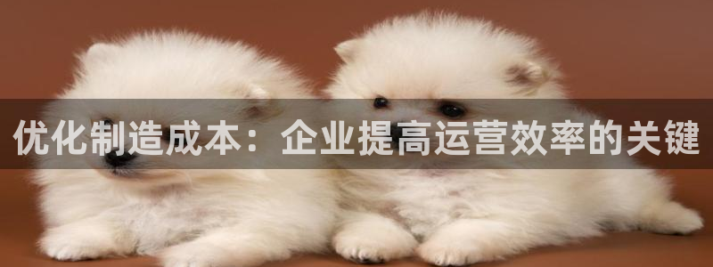 彩神vlll官网网上购彩：优化制造成本：企业提高运营效率的关键