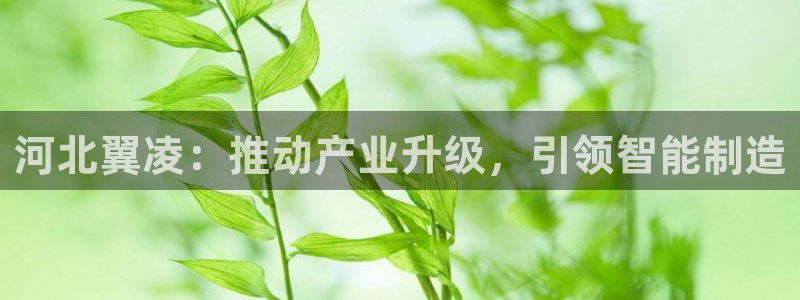 彩神v8平台正规吗知乎：河北翼凌：推动产业升级，引领智能制造