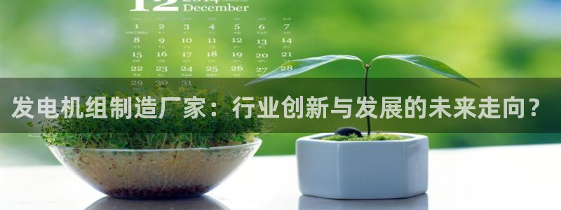 彩神数码科技有限公司：发电机组制造厂家：行业创新与发展的未来走向？