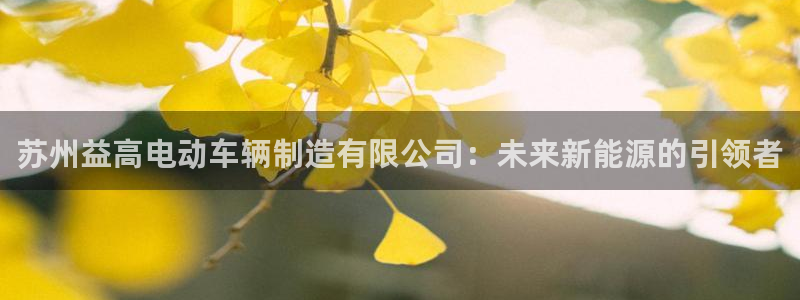 彩神xapp官方网站：苏州益高电动车辆制造有限公司：未来新能