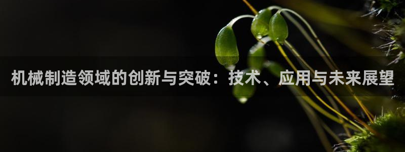 彩神x平台靠什么盈利：机械制造领域的创新与突破：技术、应用与未来展望