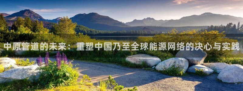 彩神v8iii：中原管道的未来：重塑中国乃至全球能源网络的决心与实践