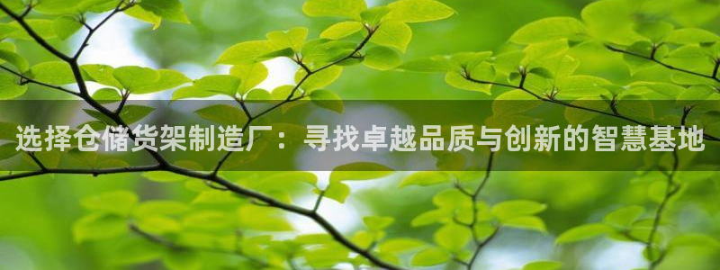 彩神平台是什么套路：选择仓储货架制造厂：寻找卓越品质与创新的智慧基地