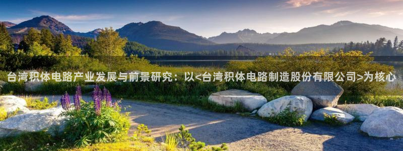 彩神8官网500：台湾积体电路产业发展与前景研究：以<台湾积