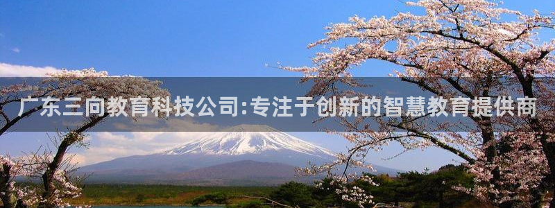 彩神v8官网版：广东三向教育科技公司:专注于创新的智慧教育提供商