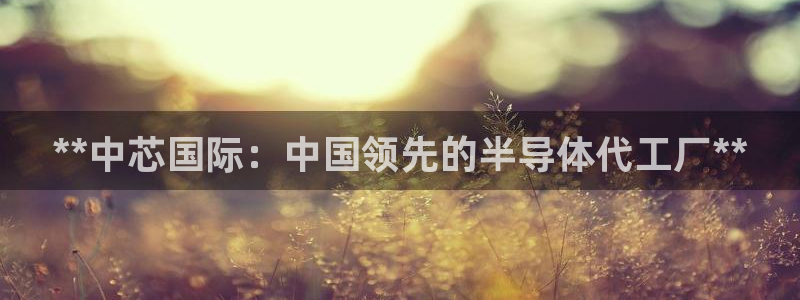 彩神vll首页环球：**中芯国际：中国领先的半导体代工厂**