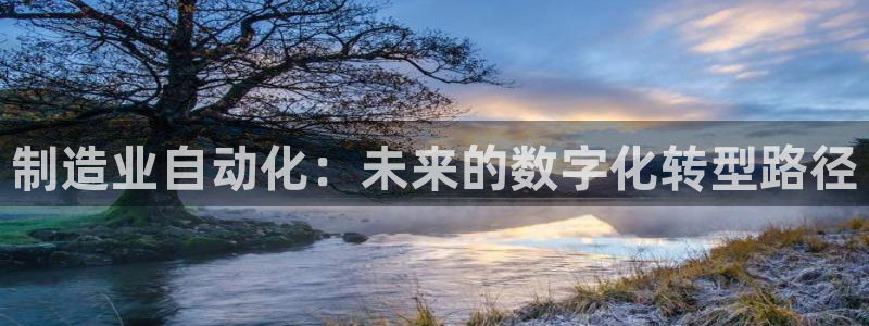 彩神vllⅰ购彩大厅：制造业自动化：未来的数字化转型路径