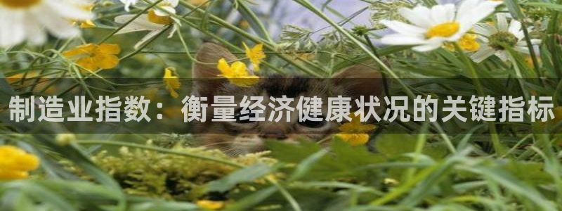 彩神ix官网：制造业指数：衡量经济健康状况的关键指标