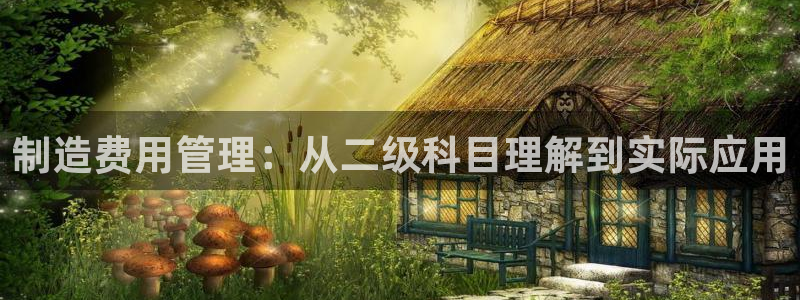 彩神赢了钱登录不上去：制造费用管理：从二级科目理解到实际应用