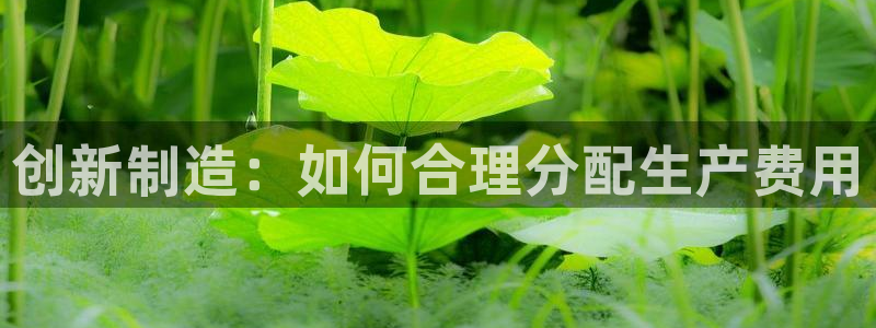 彩神v8是真的挣钱吗安全吗：创新制造：如何合理分配生产费用
