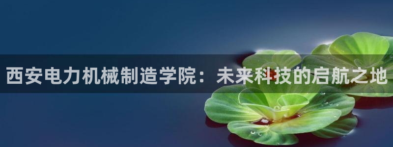 彩神app赚钱是真是假：西安电力机械制造学院：未来科技的启航之地
