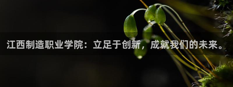 彩神v8下载网址：江西制造职业学院：立足于创新，成就我们的未来。
